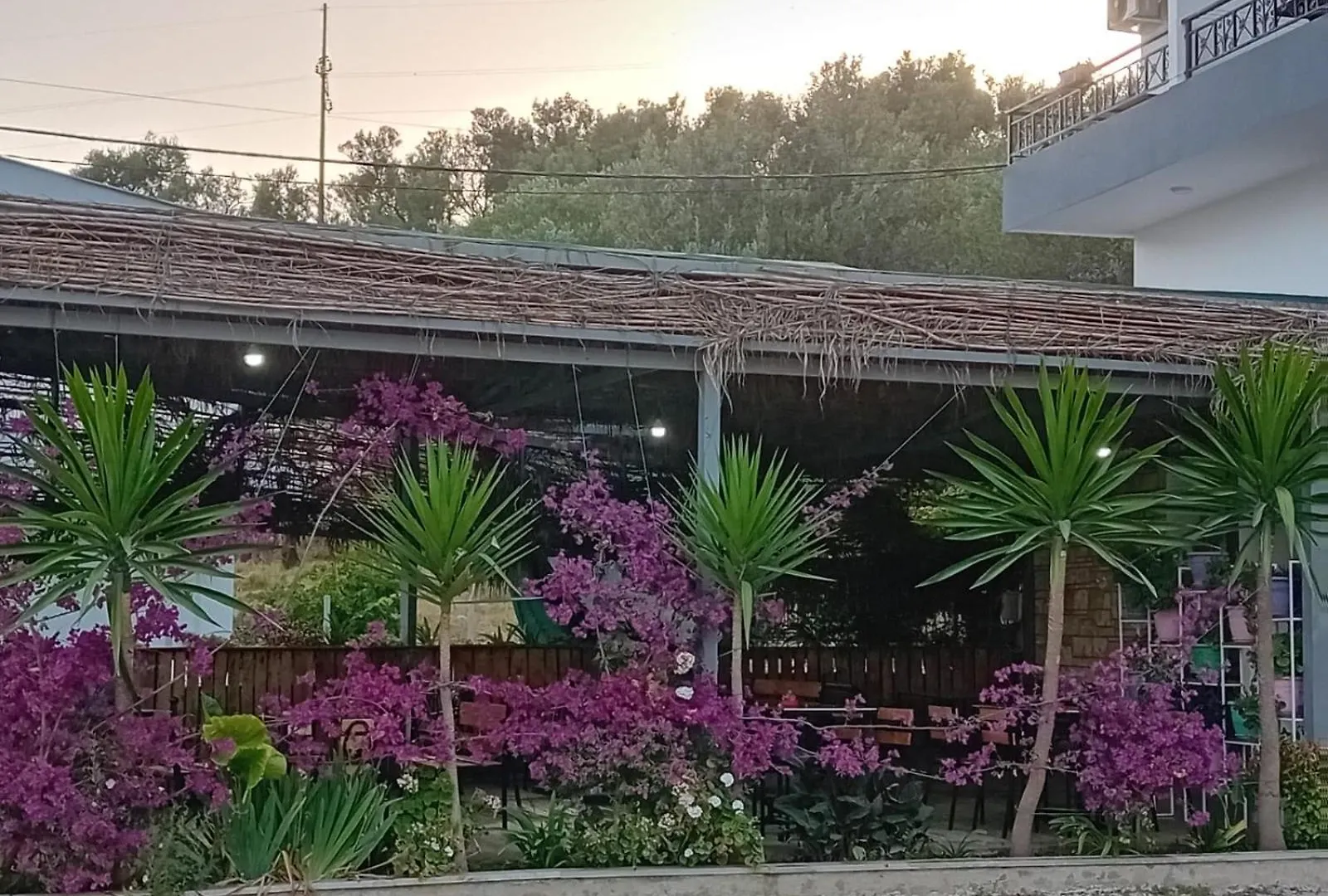 Villa Allkushi Sarandë Affittacamere