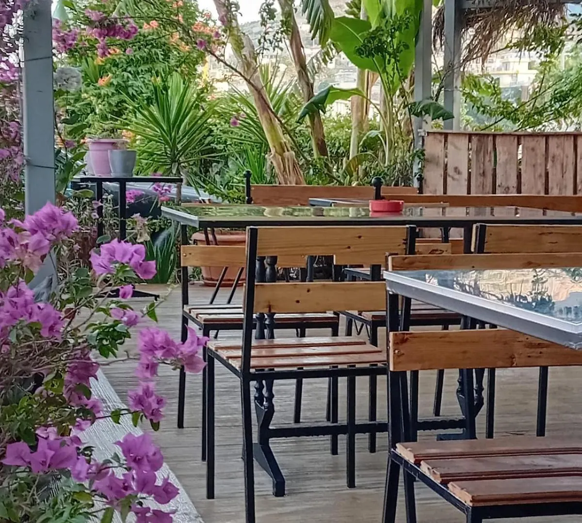 Villa Allkushi Sarandë Affittacamere
